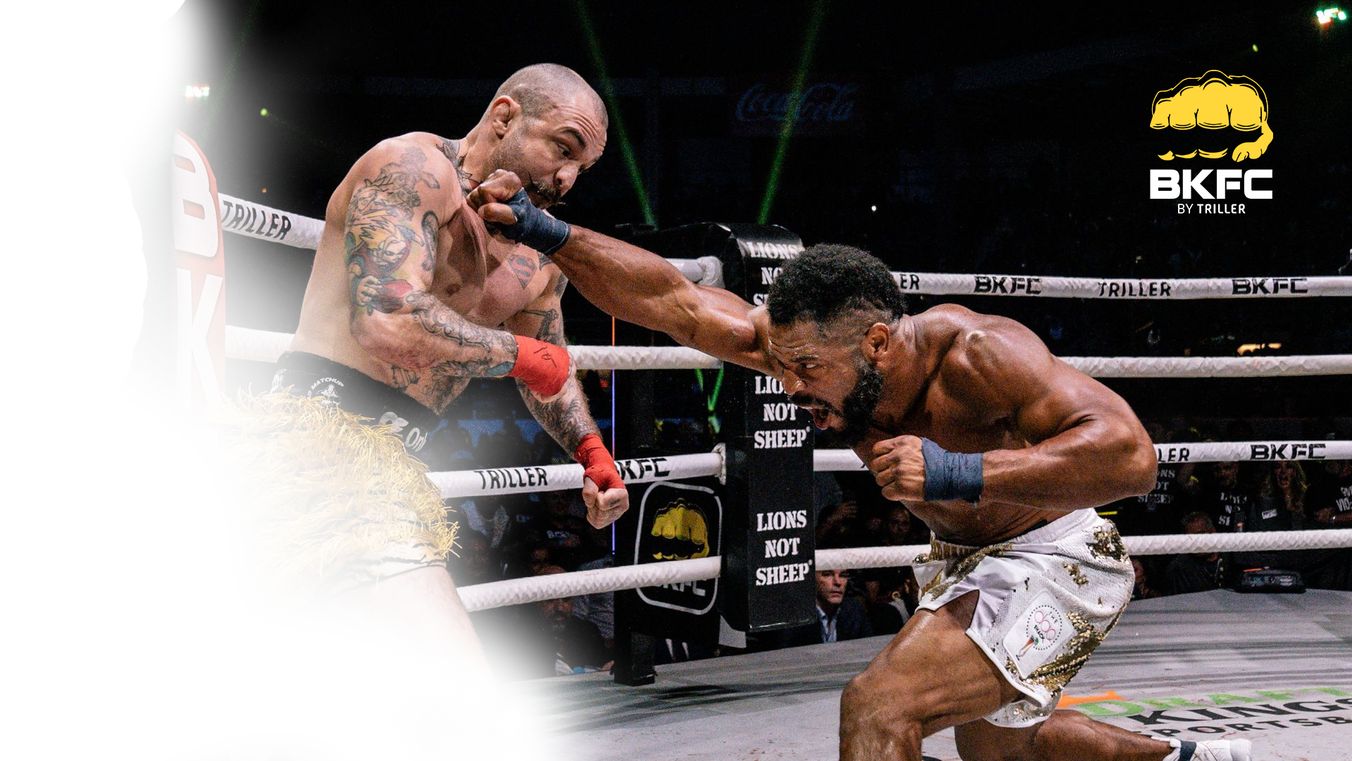 bkfc-card-4